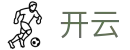 开云（Kaiyun）官方网站首页-全球赛事中心